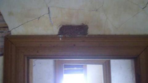 Last Breath of Winter - Sparrow.jpg