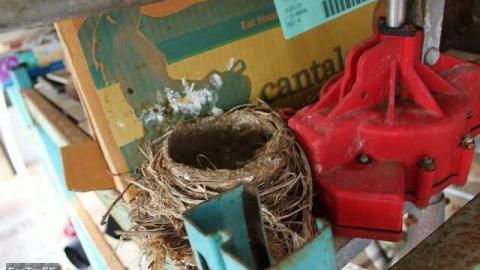 66 on 6 01-13 - Details3.jpg