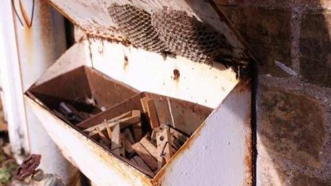 66 on 6 01-13 - Details4.jpg