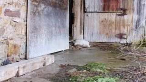 66 on 6 01-13 - Details9.jpg