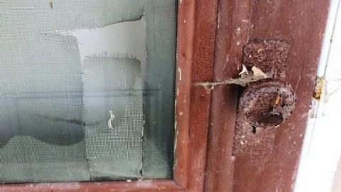 66 on 6 01-13 - Details19.jpg