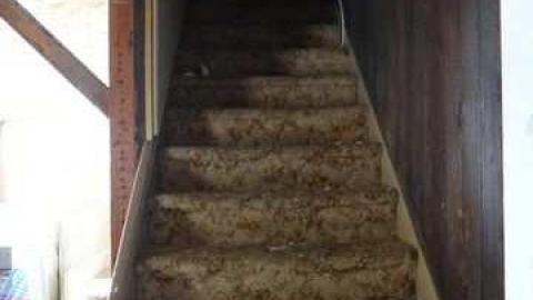 Sleeps 10 - Flopper11.jpg