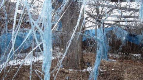 March 2013 - DSC01683.jpg