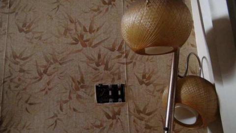 March 2013 - DSC01754.jpg