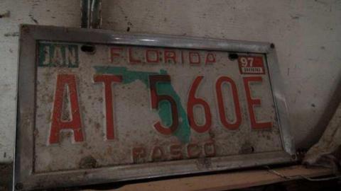 March 2013 - DSC01755.jpg