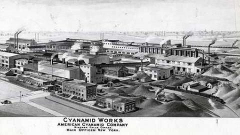 8 Signs of Cyanamid - Signs-of-Cyanamid20.jpg