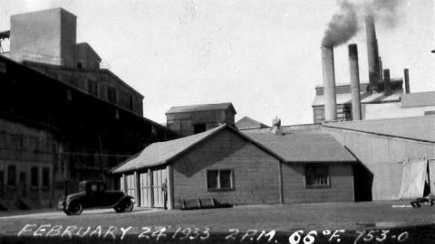 8 Signs of Cyanamid - Signs-of-Cyanamid1.jpg