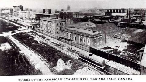 8 Signs of Cyanamid - Signs-of-Cyanamid22.jpg