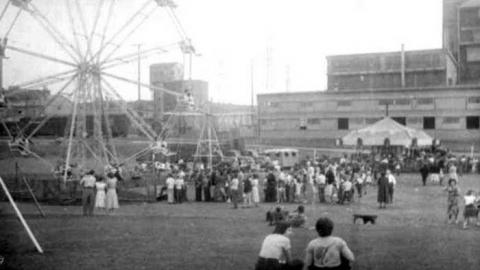 8 Signs of Cyanamid - Signs-of-Cyanamid25.jpg