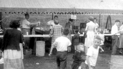 8 Signs of Cyanamid - Signs-of-Cyanamid5.jpg