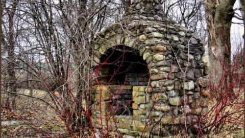 8 Signs of Cyanamid - Signs-of-Cyanamid26.jpg