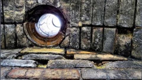 8 Signs of Cyanamid - Signs-of-Cyanamid6.jpg