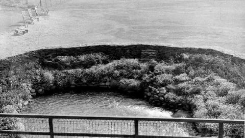 8 Signs of Cyanamid - Signs-of-Cyanamid27.jpg