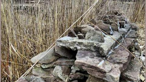 8 Signs of Cyanamid - Signs-of-Cyanamid7.jpg