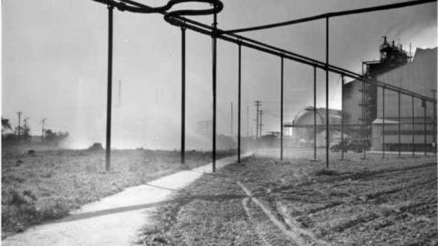 8 Signs of Cyanamid - Signs-of-Cyanamid28.jpg