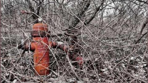 8 Signs of Cyanamid - Signs-of-Cyanamid9.jpg