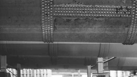 8 Signs of Cyanamid - Signs-of-Cyanamid31.jpg