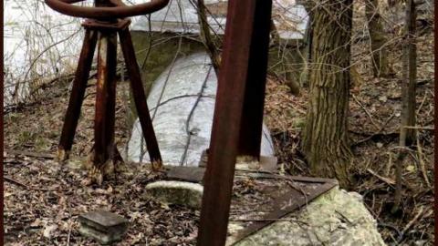 8 Signs of Cyanamid - Signs-of-Cyanamid11.jpg