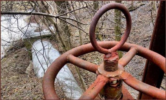 Signs of Cyanamid photo 2