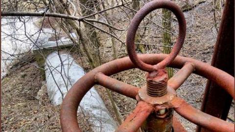 Signs of Cyanamid photo 2