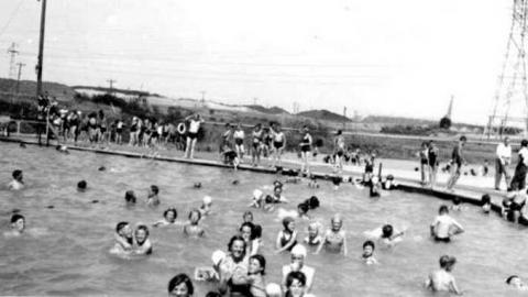 8 Signs of Cyanamid - Signs-of-Cyanamid33.jpg