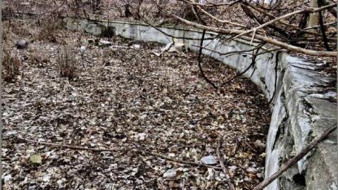 Signs of Cyanamid - Niagara Falls, Ontario