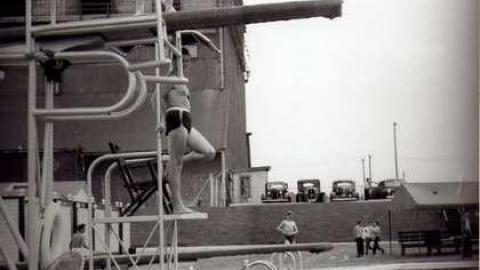 Signs of Cyanamid photo 3