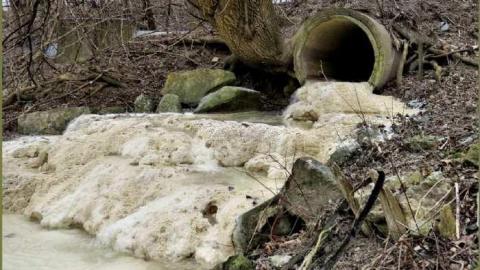 8 Signs of Cyanamid - Signs-of-Cyanamid36.jpg