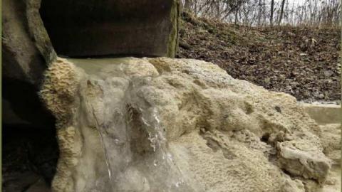 8 Signs of Cyanamid - Signs-of-Cyanamid37.jpg