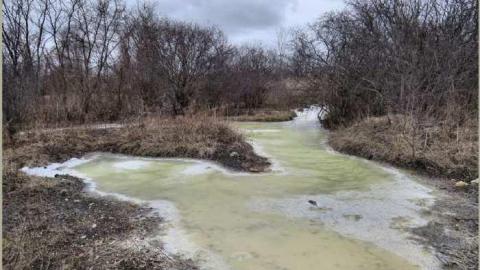 8 Signs of Cyanamid - Signs-of-Cyanamid38.jpg