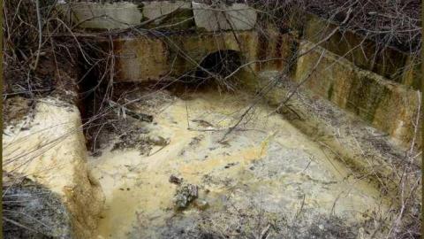 8 Signs of Cyanamid - Signs-of-Cyanamid18.jpg