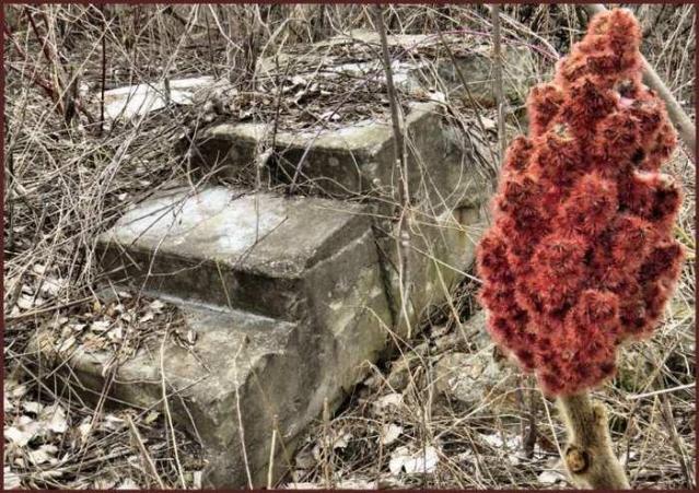 Signs of Cyanamid - Niagara Falls, Ontario