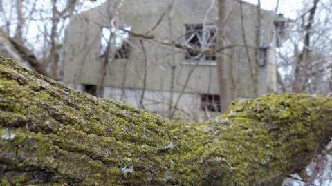 First Timer - Dilapidated-old-house-and-3-barn1.jpg