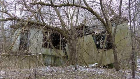 First Timer - Dilapidated-old-house-and-3-barn16.jpg
