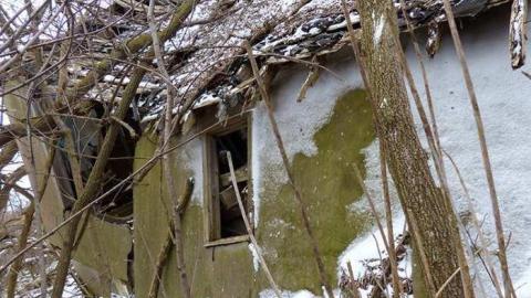 Dilapidated old house and 3 barn photo 5