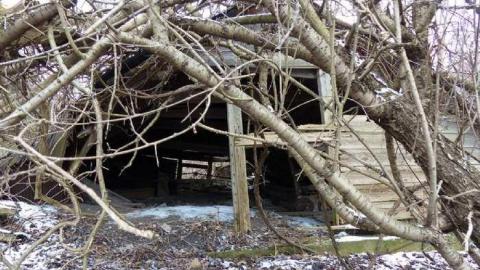 First Timer - Dilapidated-old-house-and-3-barn7.jpg