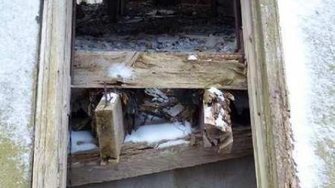 First Timer - Dilapidated-old-house-and-3-barn8.jpg