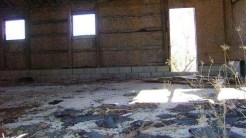 Gallery - Teviotdale-Farm33.jpg