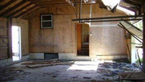 Gallery - Teviotdale-Farm34.jpg