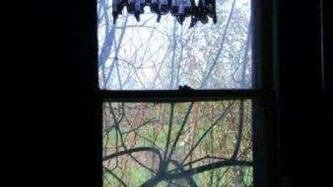 Gallery - Teviotdale-Farm35.jpg