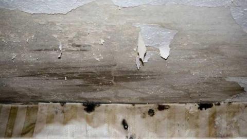 1969 County Rd 4 - 1969-County-Road-462.jpg