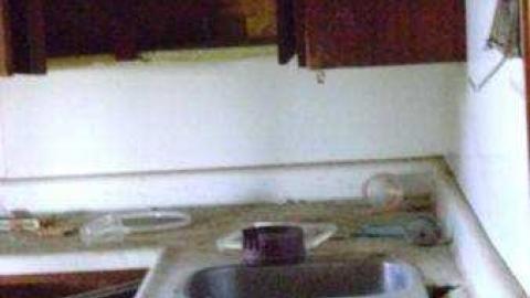 Gallery - Teviotdale-Farm37.jpg