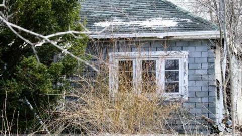 Big Island Tiny House - 850-N-Big-Island-Rd31.jpg