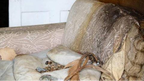 Big Island Tiny House - 850-N-Big-Island-Rd19.jpg