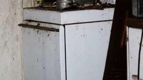 Big Island Tiny House - 850-N-Big-Island-Rd34.jpg