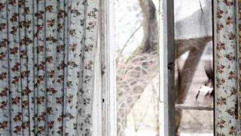 Big Island Tiny House - 850-N-Big-Island-Rd43.jpg