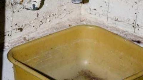 Big Island Tiny House - 850-N-Big-Island-Rd38.jpg