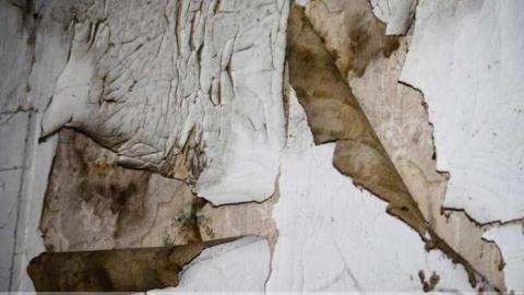 Photo from Big Island Tiny House