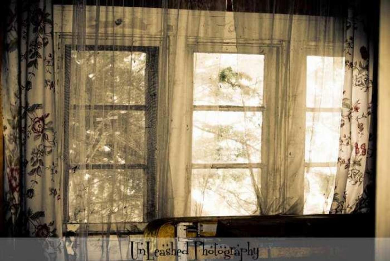 Big Island Tiny House - 850-N-Big-Island-Rd46.jpg