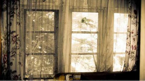 Photo from Big Island Tiny House